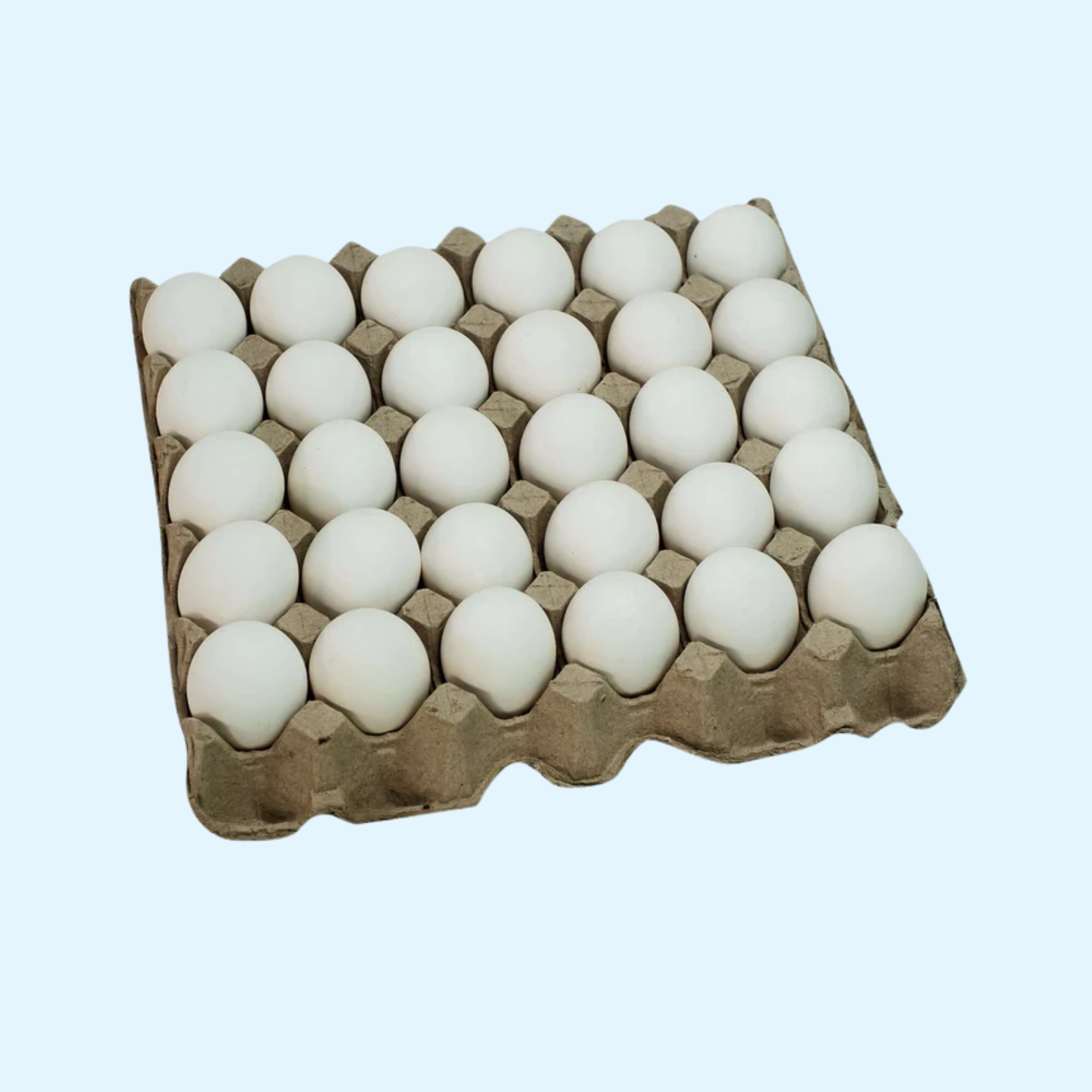 Eggs Tray